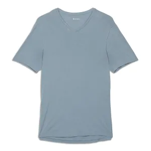 5 Year Basic V-Neck Shirt - Resale